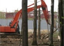 Экоактивисты требуют остановить вырубку деревьев в Химкинской дубраве